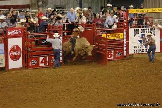 6 Mesquite, Tx Town East 2*